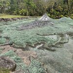 Photo taken by Jacqueline R