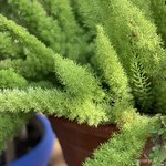 Photo taken by Leah H