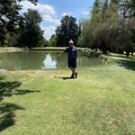 Photo taken by Mike C