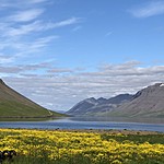 Photo taken by Debbie W