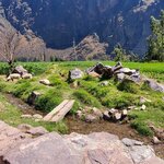 Photo taken by Karen P