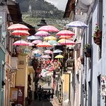 Photo taken by Carla C