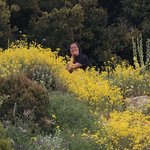 Photo taken by Shawn G