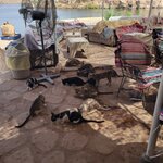 Photo taken by Kim M