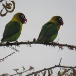 Photo taken by Kristin M