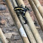 Photo taken by rebecca t