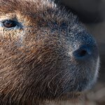 Photo taken by Matt W