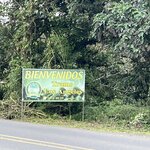 Photo taken by Les A