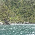 Photo taken by Iris W