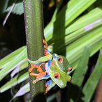 Photo taken by Mary K