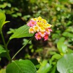 Photo taken by Maggie W