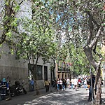 Photo taken by Marcia G