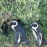 Photo taken by Joanne B