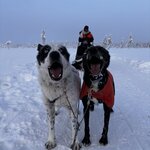 Photo taken by Raylene C