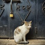 Photo taken by Colin M