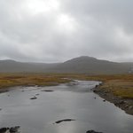 Photo taken by michelle g