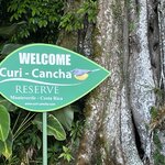 Photo taken by Joyce C