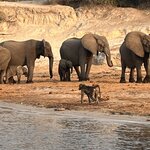 Photo taken by Janie W