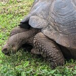 Photo taken by Jennifer A