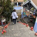 Photo taken by Jan M