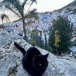 Photo taken by Betty A