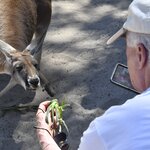 Photo taken by Linnaea M