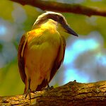 Photo taken by Dennis H