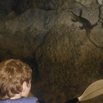 Photo taken by Brook D