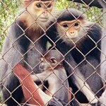 Photo taken by Jacqui O