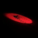 Photo taken by Jaya C