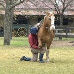 Photo taken by Graciela P