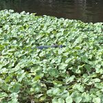 Photo taken by JULIE M