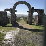 Ruins at Volubilis | Photo taken by Rose A