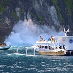 Photo taken by Laurence S