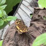 Photo taken by rebecca t