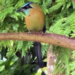 Photo taken by Mary D