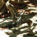 Photo taken by Mary D