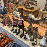 Photo taken by Anita M