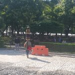 Photo taken by Camille S