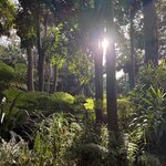 Photo taken by Gina L