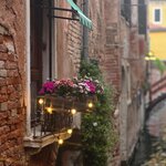 Photo taken by Carrie H