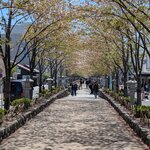 Photo taken by Melanie d