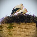 Photo taken by Colin M