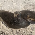 Photo taken by Stephanie A