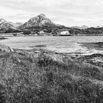 Photo taken by Dani L