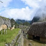 Photo taken by Joseph P