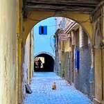 Photo taken by Kris C