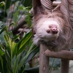 Photo taken by Wilbert A