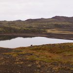 Photo taken by Laurence C