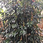 Photo taken by Ayca A